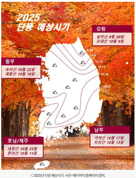 2025 추석연휴 강원도 단풍 시기와 추천 명소 완벽 가이드 1 2025 추석연휴 강원도 단풍 시기와 추천 명소 완벽 가이드 - image 81