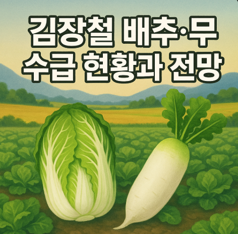 김장철 배추 무 공급 원활 | 2025 수급상황과 가격 전망 2 김장철 배추 무 수급 현황과 전망