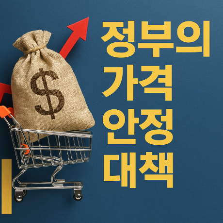 김장철 배추 무 공급 원활 | 2025 수급상황과 가격 전망 4 정부의 가격 안정 대책