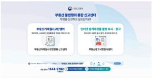 부동산 시장 교란행위
