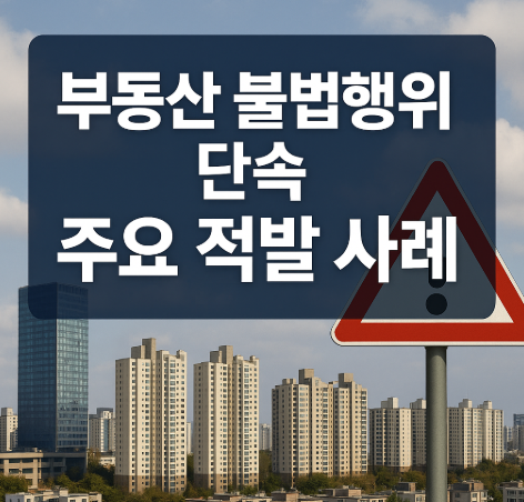 부동산 불법행위 단속 강화 | 범부처 감독 추진단 출범 2025 3 부동산 불법행위 단속 주요 적발 사례