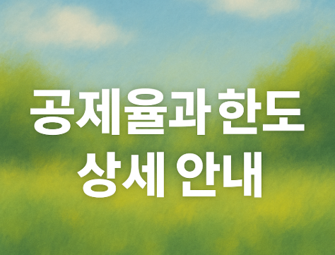 공제율과 한도 상세 안내