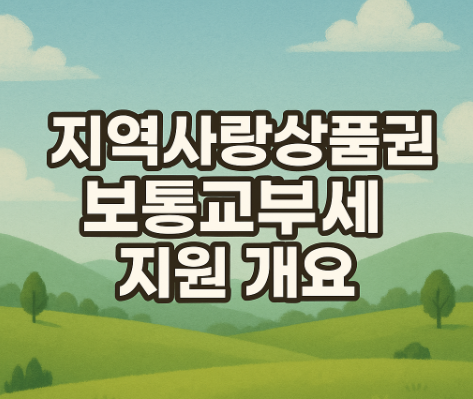 지역사랑상품권 보통교부세 지원 | 2027년부터 지자체 재정 보전 2 지역사랑상품권 보통교부세 지원 개요