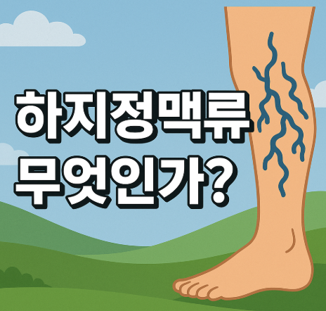하지정맥류 증상과 치료방법 완벽 가이드 | 통증 원인부터 예방까지 2025 2 하지정맥류란 무엇인가