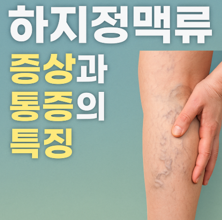 하지정맥류 증상과 치료방법 완벽 가이드 | 통증 원인부터 예방까지 2025 3 하지정맥류 증상과 통증의 특징