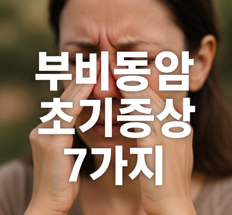부비동암 초기증상 7가지 | 원인과 치료법 완벽 정리 2025 1 부비동암