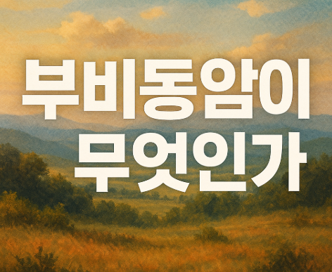 부비동암 초기증상 7가지 | 원인과 치료법 완벽 정리 2025 2 부비동암이란 무엇인가