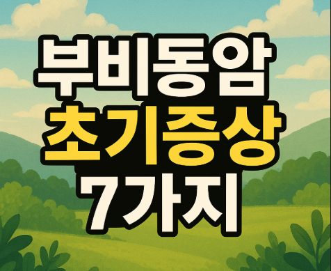 부비동암 초기증상 7가지 | 원인과 치료법 완벽 정리 2025 3 부비동암 초기증상 7가지