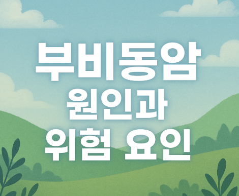 부비동암 초기증상 7가지 | 원인과 치료법 완벽 정리 2025 4 부비동암 원인과 위험 요인