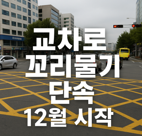 교차로 꼬리물기 단속