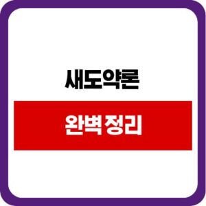 새도약론