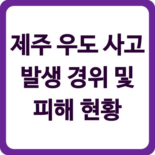제주 우도 사고 발생 경위 및 피해 현황