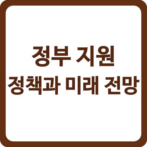 정부 지원 정책과 미래 전망