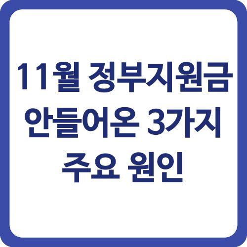 11월 정부지원금 안들어온 3가지 주요 원인