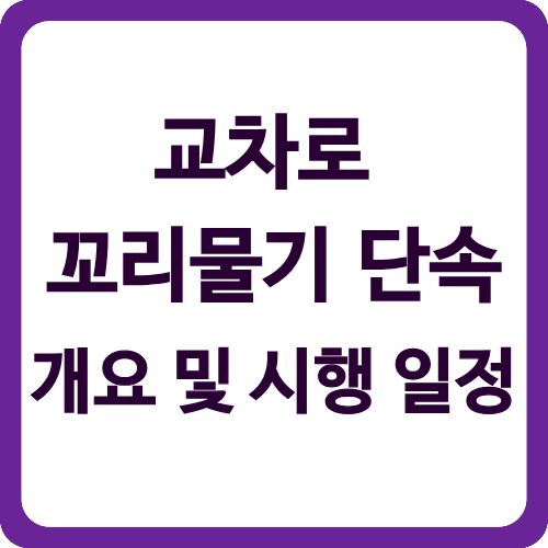 교차로 꼬리물기 단속 개요 및 시행 일정