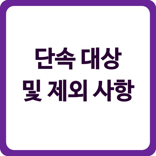 단속 대상 및 제외 사항