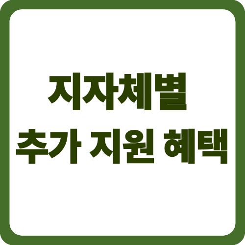 지자체별 추가 지원 혜택