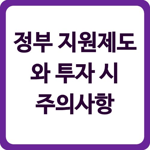 정부 지원제도와 투자 시 주의사항