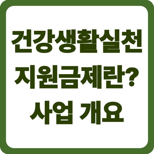 건강생활실천지원금제란? 사업 개요