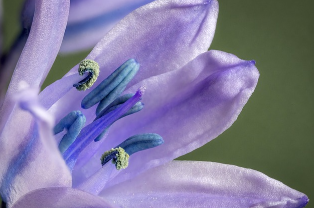 삼성 130인치 마이크로 RGB TV