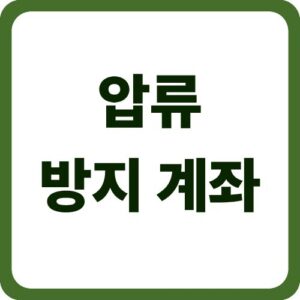 압류 방지 계좌