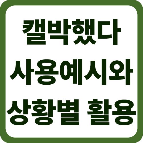 캘박했다 사용예시와 상황별 활용