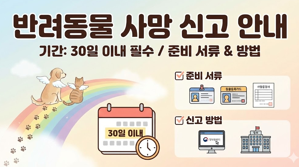 신고 기간 및 준비 서류 안내