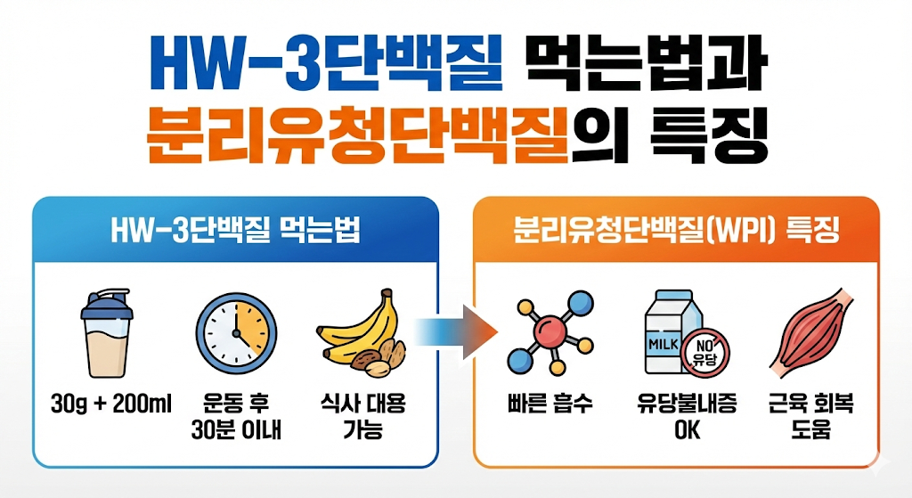 HW-3단백질 먹는법과 분리유청단백질의 특징