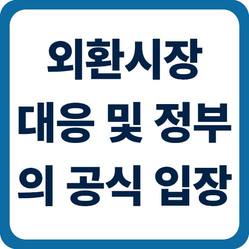 외환시장 대응 및 정부의 공식 입장
