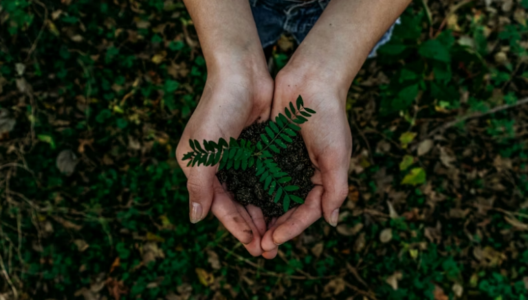 일상 속 에코 라이프 실천 가이드
