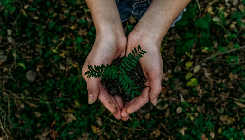 가정 내 에코 라이프 실천을 위한 친환경 천연 수세미와 장바구니