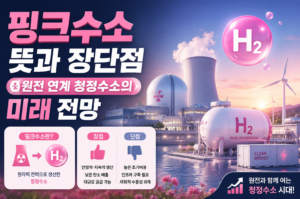 핑크수소 뜻과 장단점, 원전 연계 청정수소의 미래 전망