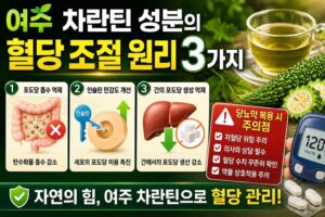 여주 차란틴 성분의 혈당 조절 원리 3가지와 당뇨약 복용 시 주의점